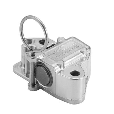 Купить Автомобильный цепной натяжкой LR051008 LR095472 C2Z28428 C2Z20682 AJ813898 AJ812419 Для Land Rover Range Rover Sport Vogue Jaguar Производство в сети